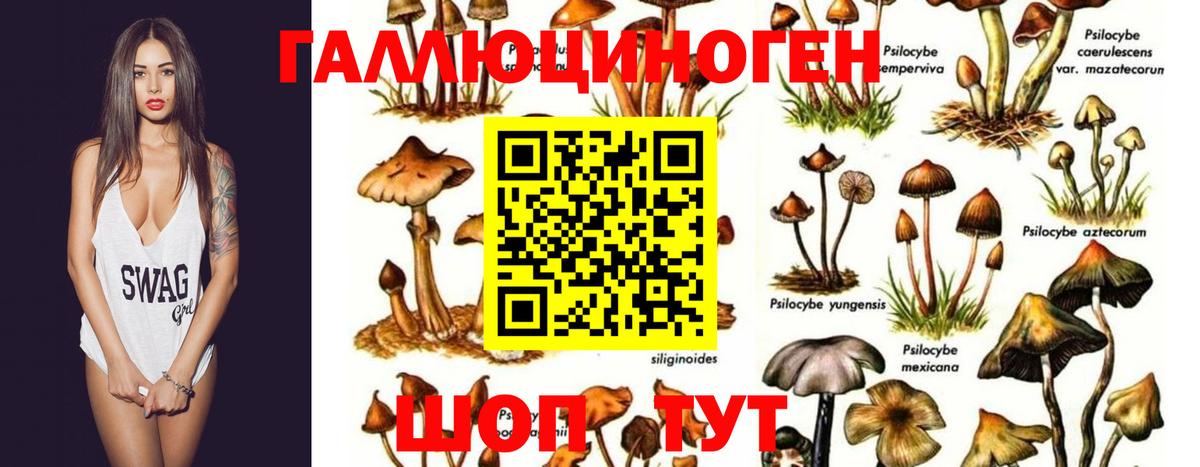 Сочи  Галлюциногенные грибы Magic Shrooms  Галлюциногенные грибы MAGIC MUSHROOMS  Вход с VPN 